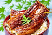 【悲報】食通「ガスで焼いた鰻はまずい、炭火で焼くべき」←これｗｗｗｗｗｗｗｗｗｗｗｗｗｗｗｗ