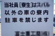 ドイツ車好きなのにトヨタ系列の会社に就職したらドイツ車一生乗れないのか・・・