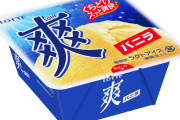 【朗報】アイスといえば「爽」だよな