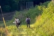 【動画】撮り鉄のクソガキ、走行中の電車を停めてそのまま逃亡ｗｗｗｗｗｗｗｗ