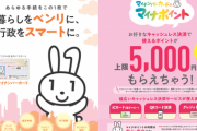 マイナポイント「5000円あげます、5000円あげます、5000円あげます」←これが流行らない理由
