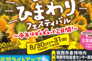 「筑波山×100万本の八重ひまわり」夏の絶景、ここに極まる！