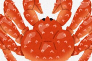 函館でタラバガニ獲れる　漁業者「函館でタラバガニは今まで見たことが無い」　専門家「今までタラバガニが居ること知らなかったんじゃね？」