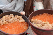 【画像】北海道と東京のいくら丼の差がヤバイｗｗｗｗｗｗｗｗｗｗ