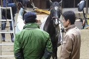 現役競走馬レイズアスピリット、大雪で身動きとれず瀕死状態に…
