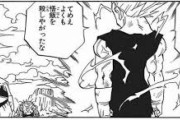 【ドラゴンボール】ベジータ「テメェ、よくも悟飯を殺しやがったな」