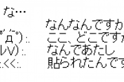 :.（;ﾟдﾟ）:.　　ここ、どこですか？ なんであたし