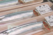 【悲報】サンマ一尾843円ｗｗｗｗｗｗｗｗｗｗｗ
