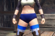 【モンハンサンブレイク】陸上ブルマが学校指定ブルマになった感じやな