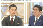韓国紙「日本、安倍が言い放った "核共有" に賛否両論」韓国の反応