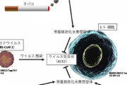 タバコの煙にコロナ感染抑制効果があることが判明