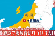 新潟県長岡市の商業施設「リバーサイド千秋」内で複数人が少年に刺される　客など3人がケガ　少年を現行犯逮捕