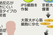 【朗報】iPS細胞さん、ガチですごい