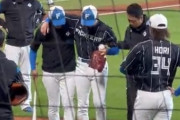 日本ハム鈴木健矢、秋季キャンプ最終日に投内連携で負傷