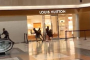 【動画】８人組の窃盗団に狙われたルイ・ヴィトン。被害額750万円に。