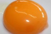 【画像】「卵黄」とかいうガチで何にでも合う生命のソースｗｗ