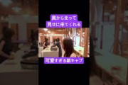シャインマスカットを見せてくれる菅原咲月 #乃木坂46