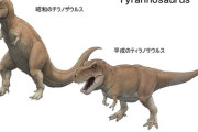 【画像】ティラノサウルスさん、昔と今で姿勢が変わってしまう