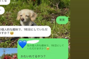 【乃木坂46】脳内再生余裕だな・・・鈴木絢音、LINEの内容が明かされる・・・・