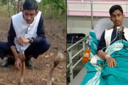 インドの蛇使い、コブラに噛まれる