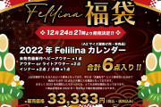 【朗報】フェアリンさん、33333円の福袋を販売へ！