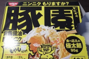 【二郎風？】ワイの作ったこのラーメンにいくら出せる？