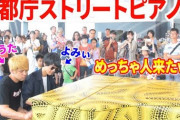アニ豚「ストリートピアノでアニメ曲弾くたまんね～」ﾆﾁｬｧ