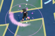 【ポケモンGO】みんなもよくある？相棒がぶっ倒れたｗｗｗｗｗｗｗ【画像】