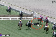 【悲報】オジュウチョウサン主戦、石神深一が新潟ジャンプSで落馬