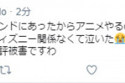【悲報】「ポカホンタス女」、流行りすぎてファンを悲しませてしまう