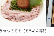 【悲報】「そうめん」を提供してる飲食店、なし