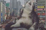 【画像】猫を巨大化させて都市景観に溶け込ませてみた→ほのぼのとしていてどこか和む光景にｗｗｗｗｗ