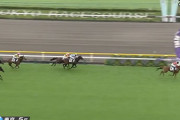 【2歳新馬】レッドキングリー強すぎワロタ