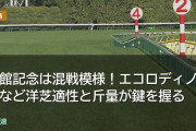 函館記念は混戦模様！エコロディノスなど洋芝適性と斤量が鍵を握る