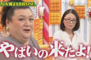 【発言】マツコ・デラックスの発言で打線組んだ！ｗｗｗ
