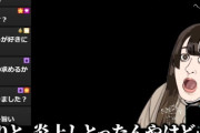 【悲報】たぬかな「妊娠を発表してから『障害者を産め！流産しろ！！』とか言われてる　この国は地獄かよ」