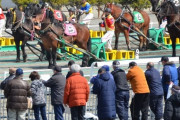 地方競馬の馬主だけど質問ある？