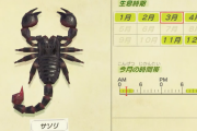 【あつ森】サソリ捕まえるのムズイんだけどコツある？【どうぶつの森 まとめ】