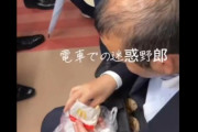 【悲報】電車でマックを食べ、指についた塩を車内にまいたオジサン、頭皮を晒されてしまうｗｗｗｗ