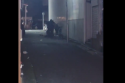 【悲報】渋谷のDQN、裏路地でケンカ相手の頭を蹴りまくってしまう…