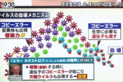 【速報】コロナ感染者激減の要因、ワクチンではなかったｗｗｗｗｗｗｗｗｗ