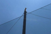 ◆朗報◆鉄柱のてっぺんから降りられなくなった猫、救出される