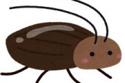 ゴキブリにチャームポイントを一つ追加してみんなに好かれる昆虫にしろ