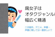 気になる13個のアンケート結果が発表！腐女子とライト層の守備範囲を調査