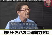 水曜日スタッフ「クソ…失礼なドッキリしたら具志堅がキレやがった…編集でバカにしよ！」