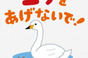 【どうぶつ園】鳥インフルエンザ結構ヤバい模様　国営公園で飼育のコブハクチョウ1羽感染の疑い