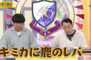 賀喜遥香ちゃんのブログタイトルわろたｗｗｗ ほんとバナナマン好きだなｗ【乃木坂46】