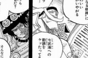 【ワンピース】お前らポートガス・D・エースさん馬鹿にしてるけど十代で七武海に勧誘されてるんやぞ