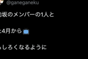 日向坂メンバー1人、4月からレギュラー番組始まるっぽいぞ！