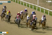 【動画あり】英競馬で衝撃の末脚！12頭ごぼう抜きにファン唖然！
